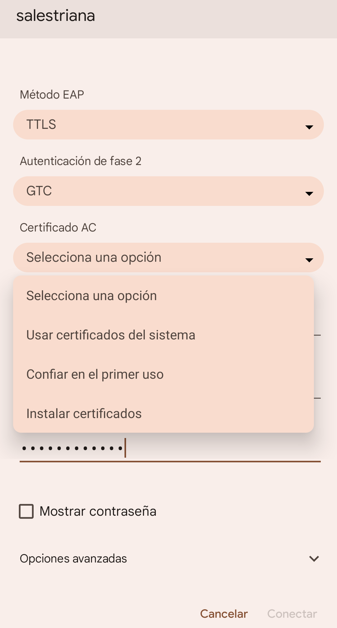 Confiar en Certificados en dispositivo Pixel